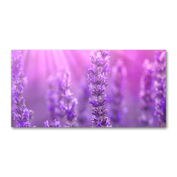 Wall art on glass Lavender