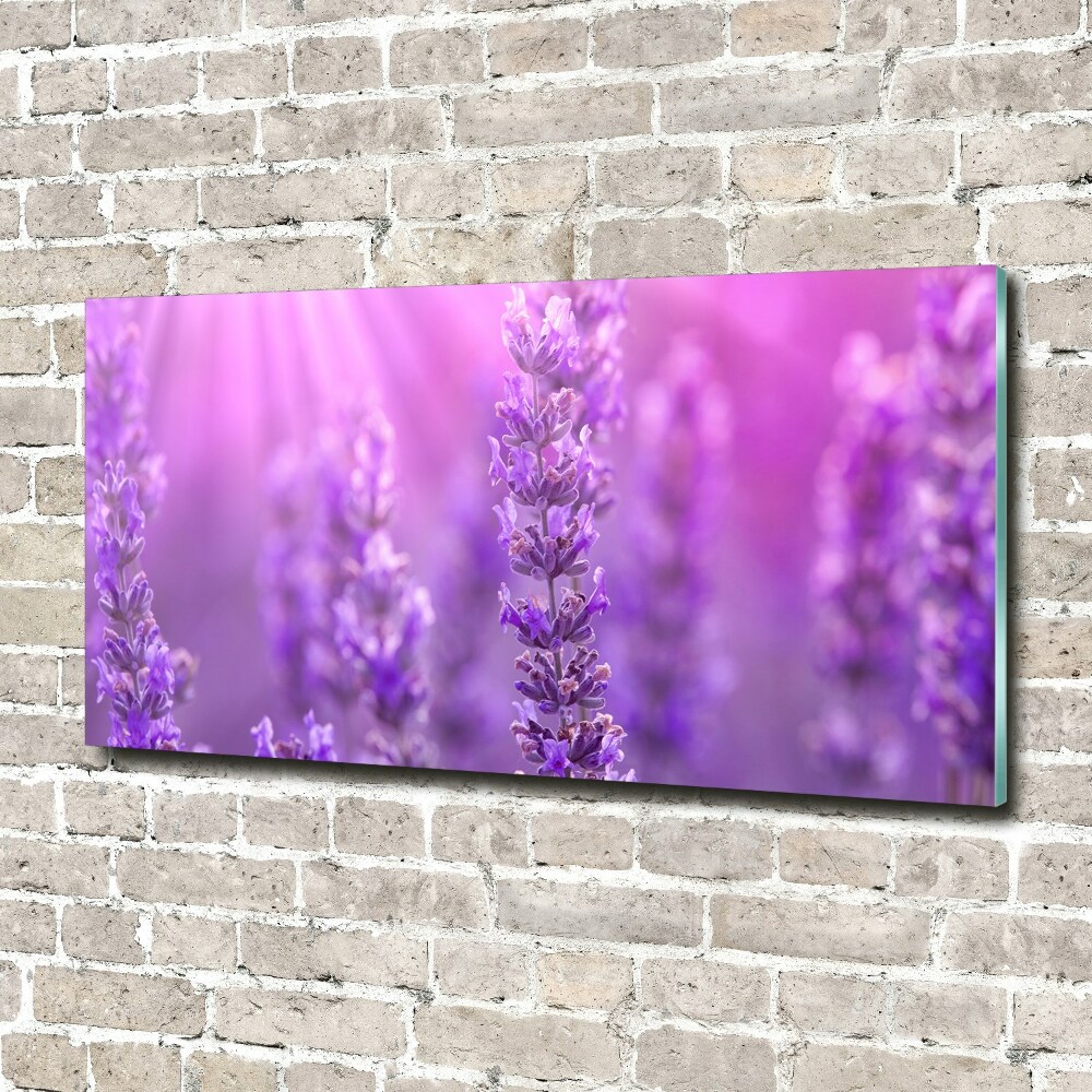 Wall art on glass Lavender