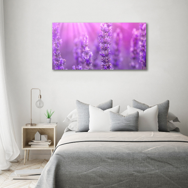 Wall art on glass Lavender