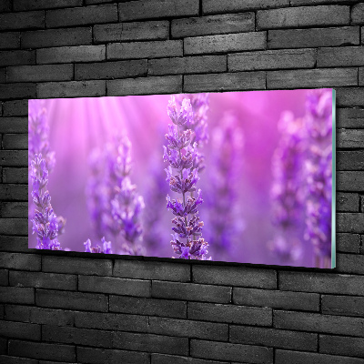 Wall art on glass Lavender