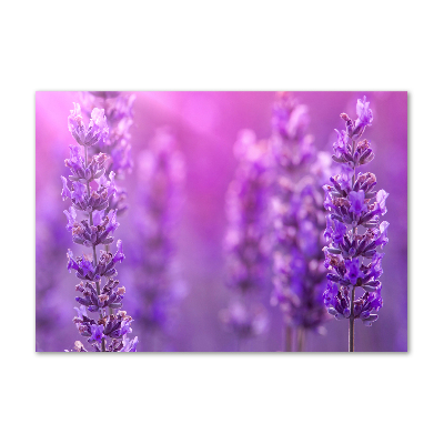 Wall art on glass Lavender