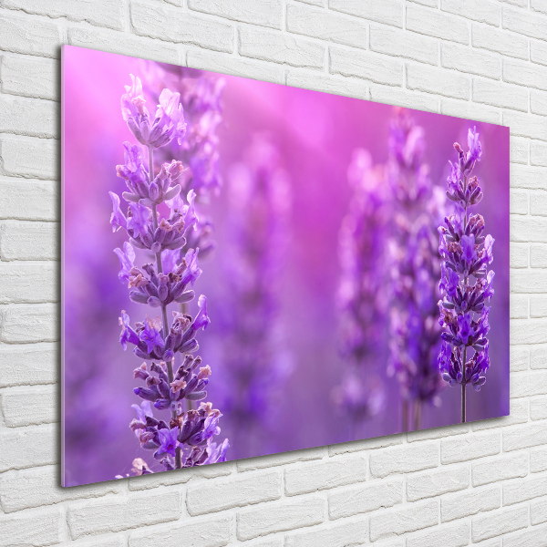 Wall art on glass Lavender