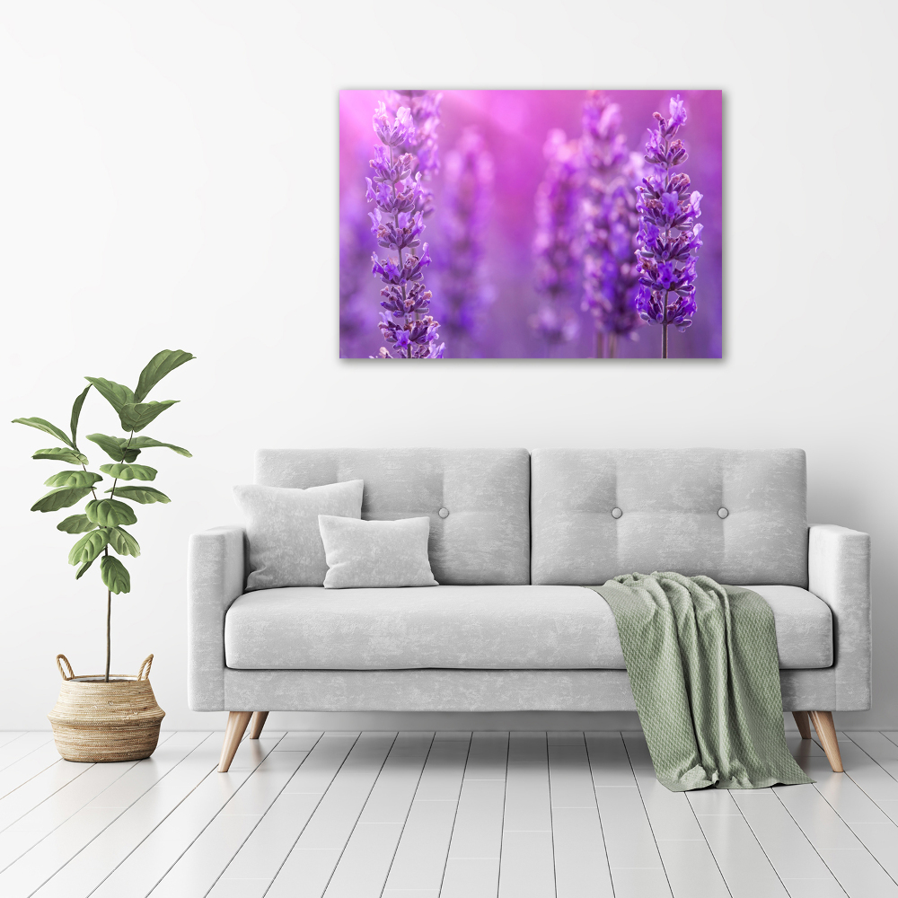 Wall art on glass Lavender