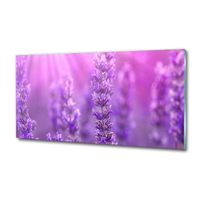 Wall art on glass Lavender