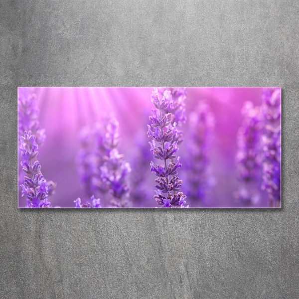 Wall art on glass Lavender