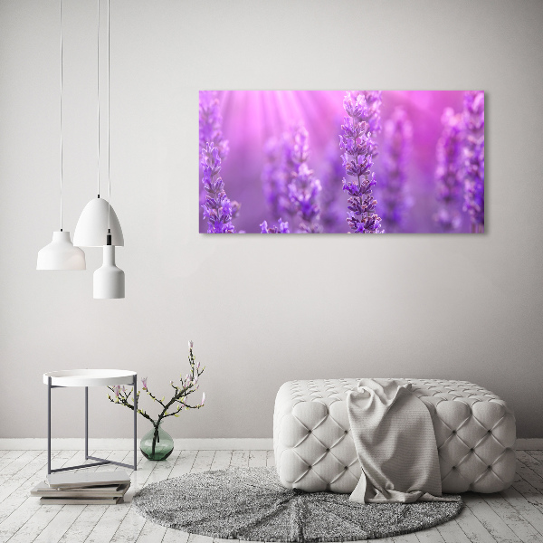 Wall art on glass Lavender