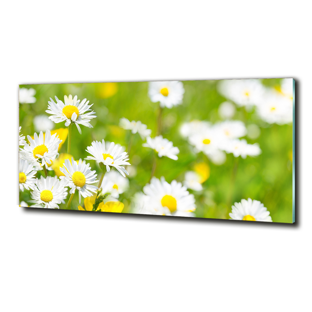 Glass wall art Daisy