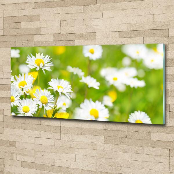 Glass wall art Daisy