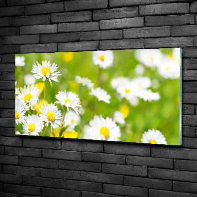 Glass wall art Daisy