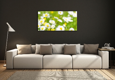 Glass wall art Daisy