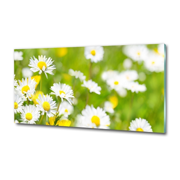 Glass wall art Daisy