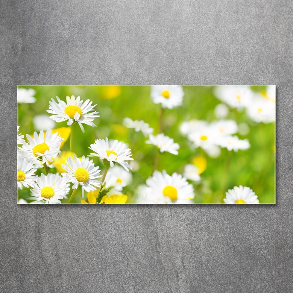 Glass wall art Daisy