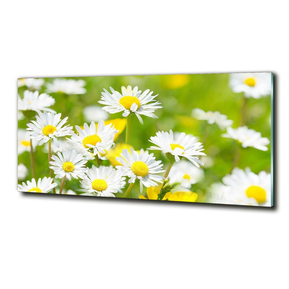 Wall art on glass Daisy