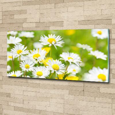 Wall art on glass Daisy