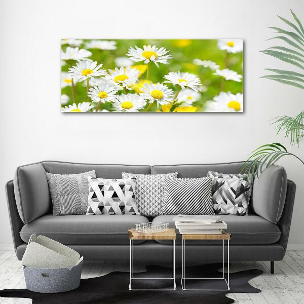 Wall art on glass Daisy