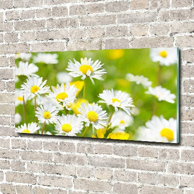 Wall art on glass Daisy