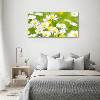 Wall art on glass Daisy