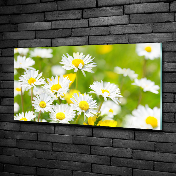 Wall art on glass Daisy