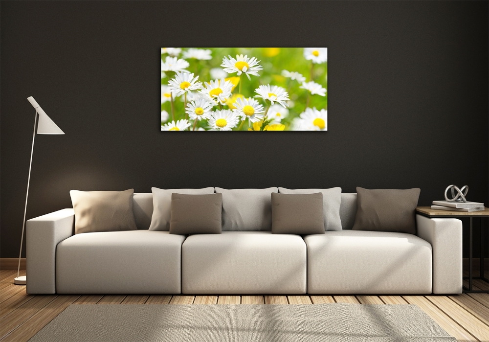 Wall art on glass Daisy