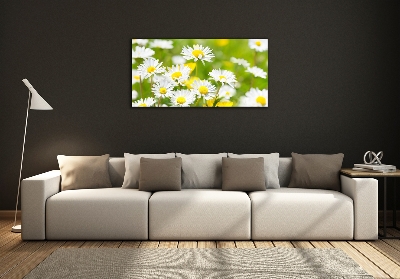 Wall art on glass Daisy