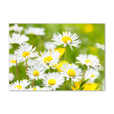 Wall art on glass Daisy