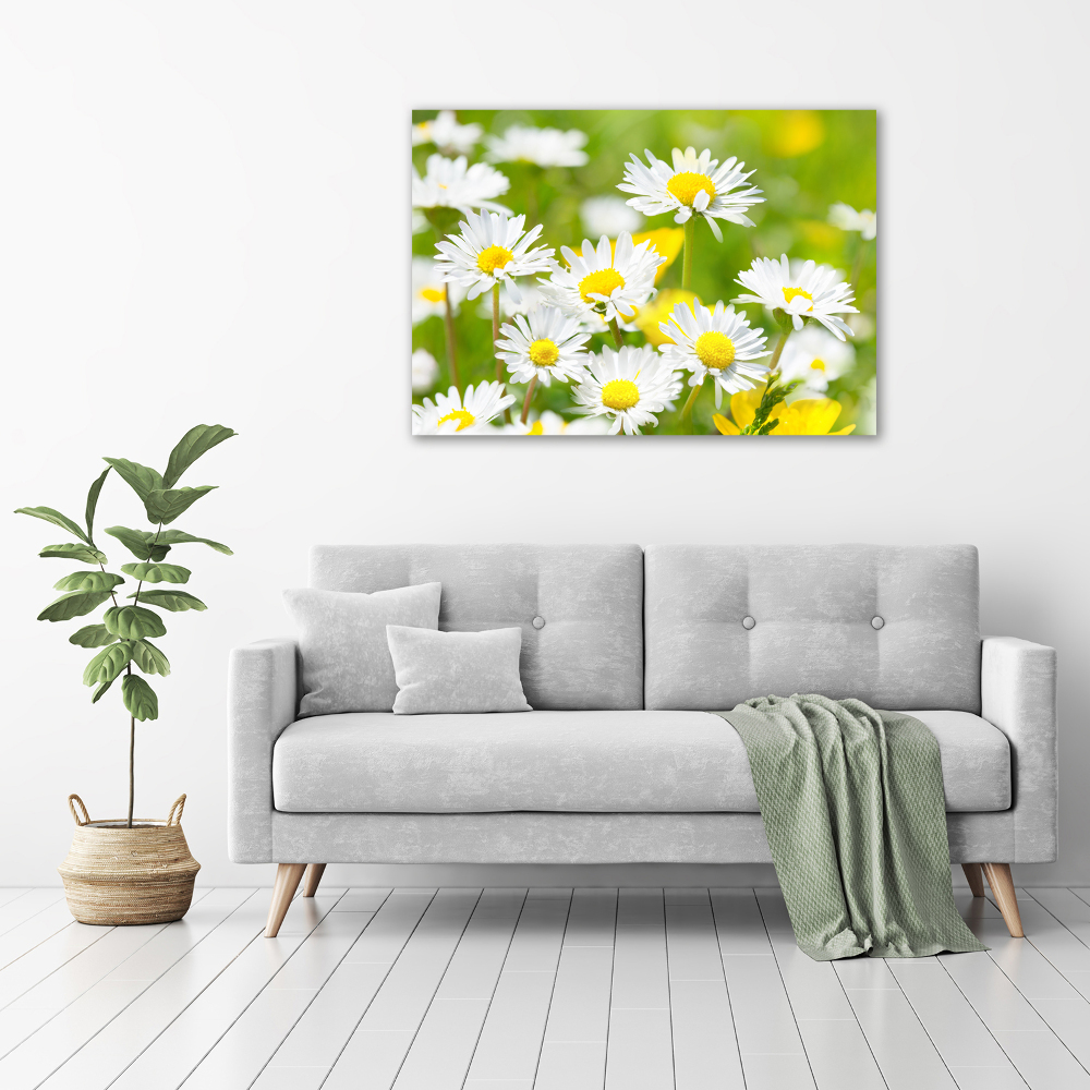 Wall art on glass Daisy