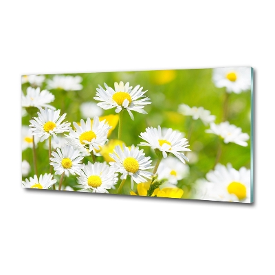 Wall art on glass Daisy