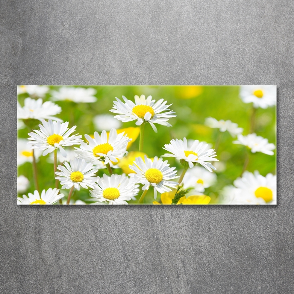 Wall art on glass Daisy