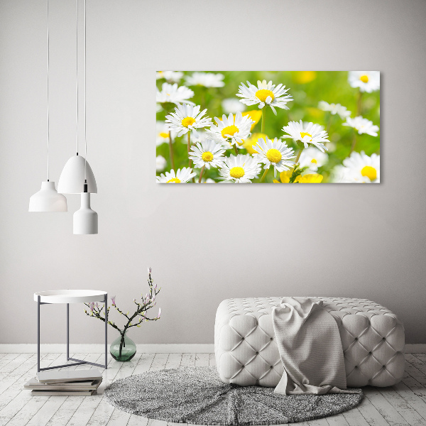 Wall art on glass Daisy