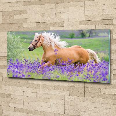 Wall art on glass Horse in the field of lavender