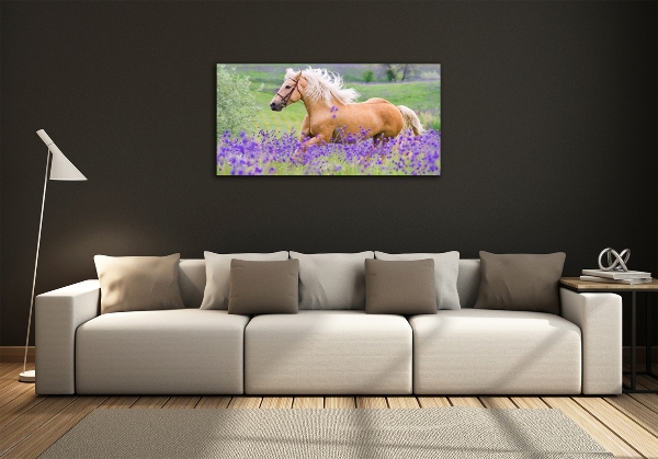 Wall art on glass Horse in the field of lavender