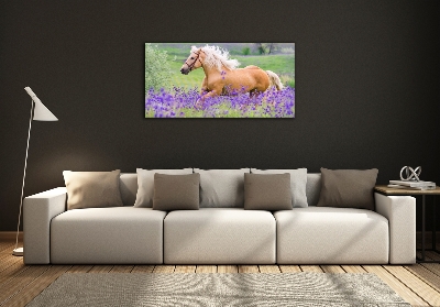 Wall art on glass Horse in the field of lavender