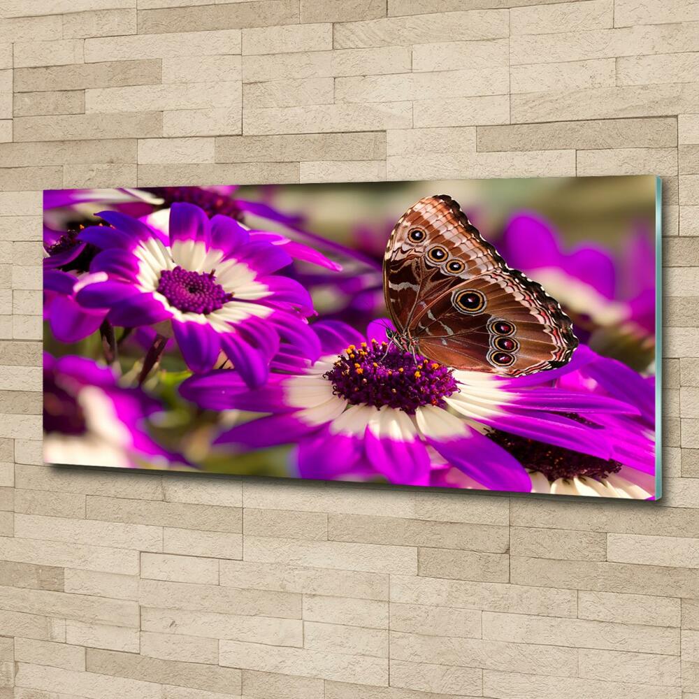 Wall art on glass Flower butterfly