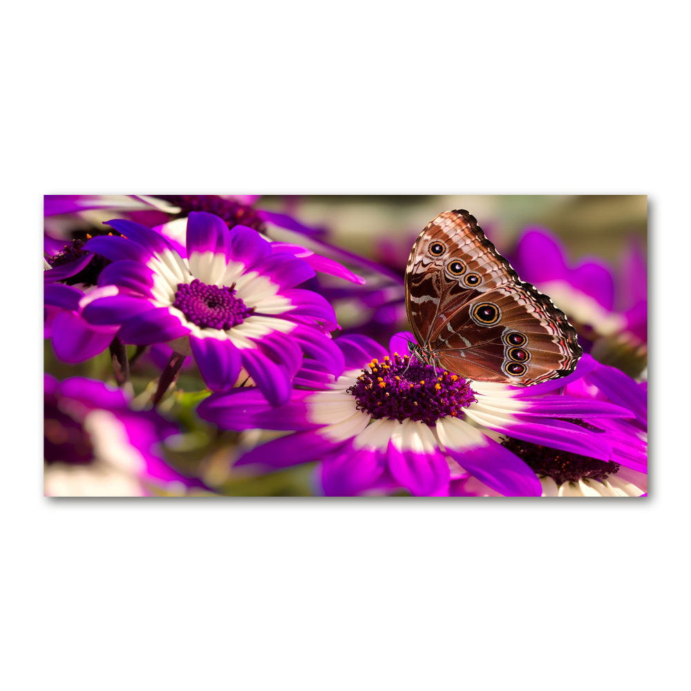 Wall art on glass Flower butterfly