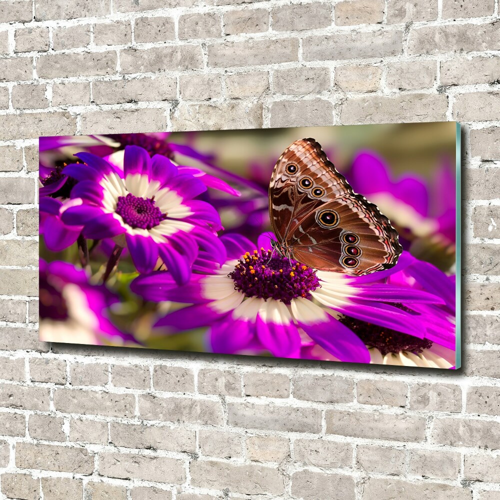 Wall art on glass Flower butterfly