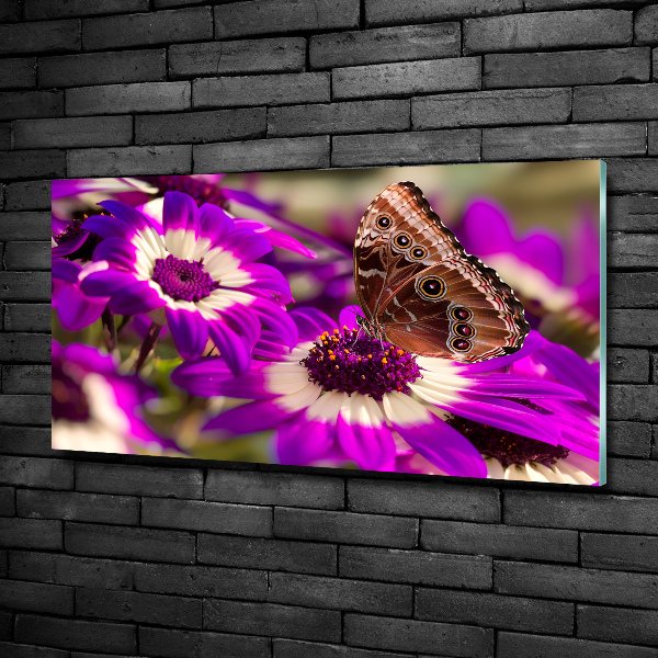 Wall art on glass Flower butterfly