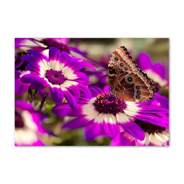 Wall art on glass Flower butterfly