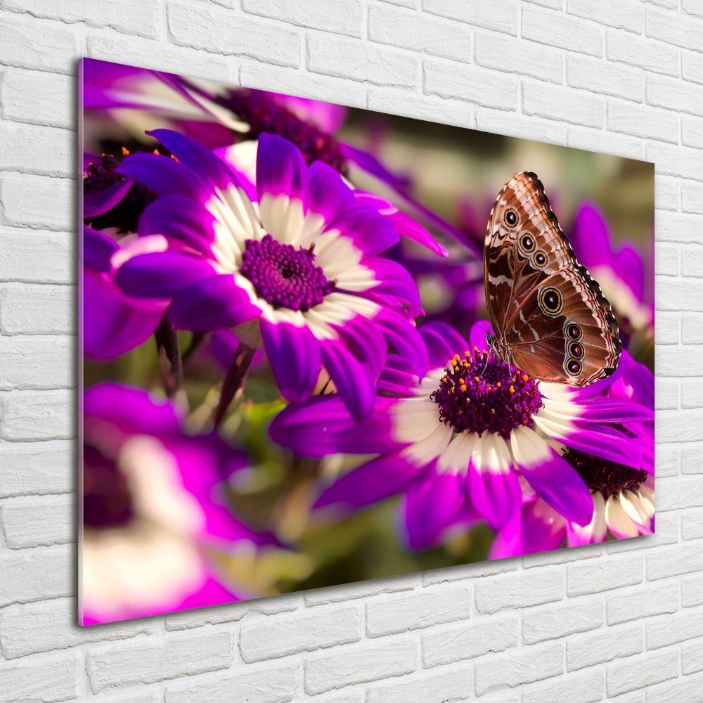 Wall art on glass Flower butterfly