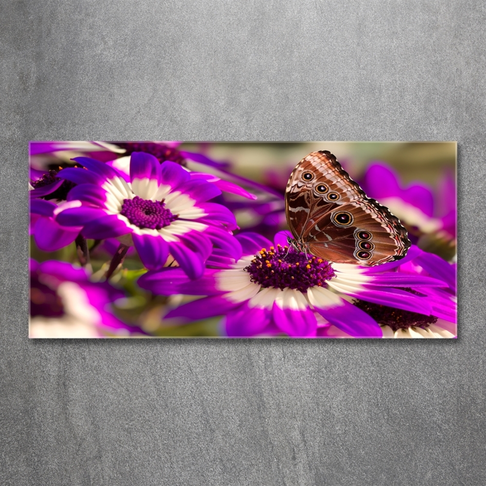 Wall art on glass Flower butterfly