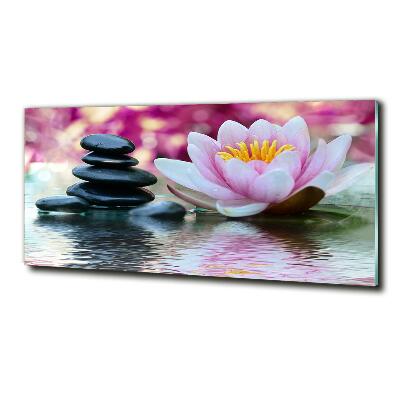 Glass art print Water lily