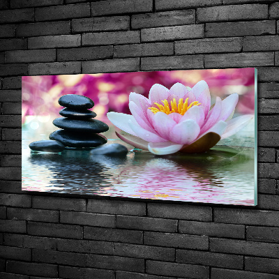 Glass art print Water lily