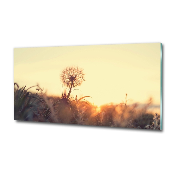 Glass art print Dandelion