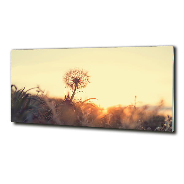 Glass art print Dandelion