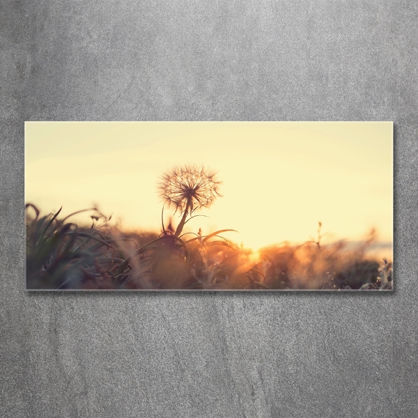 Glass art print Dandelion