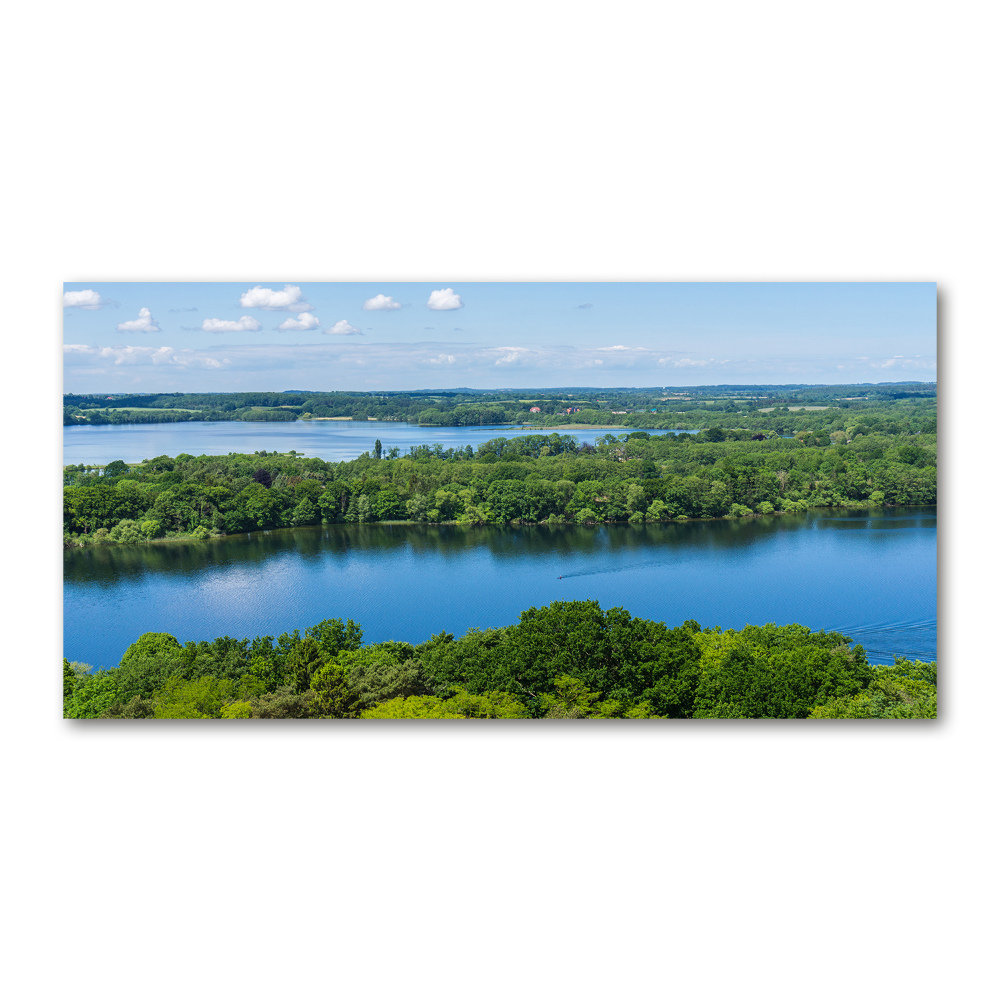 Wall art on glass Forest by the lake