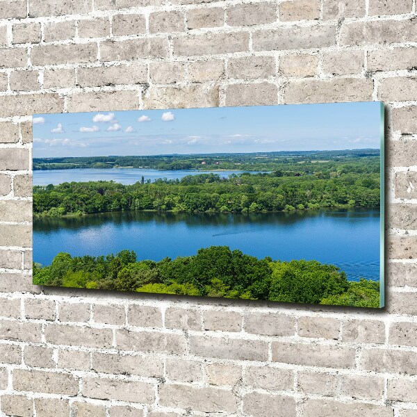 Wall art on glass Forest by the lake