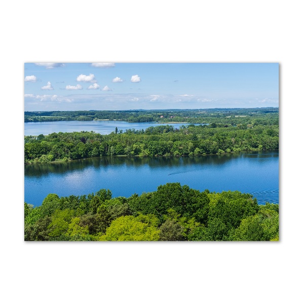 Wall art on glass Forest by the lake