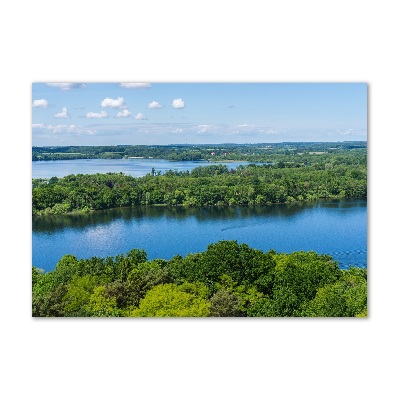 Wall art on glass Forest by the lake