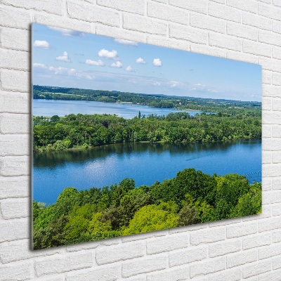 Wall art on glass Forest by the lake