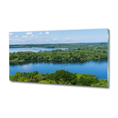 Wall art on glass Forest by the lake